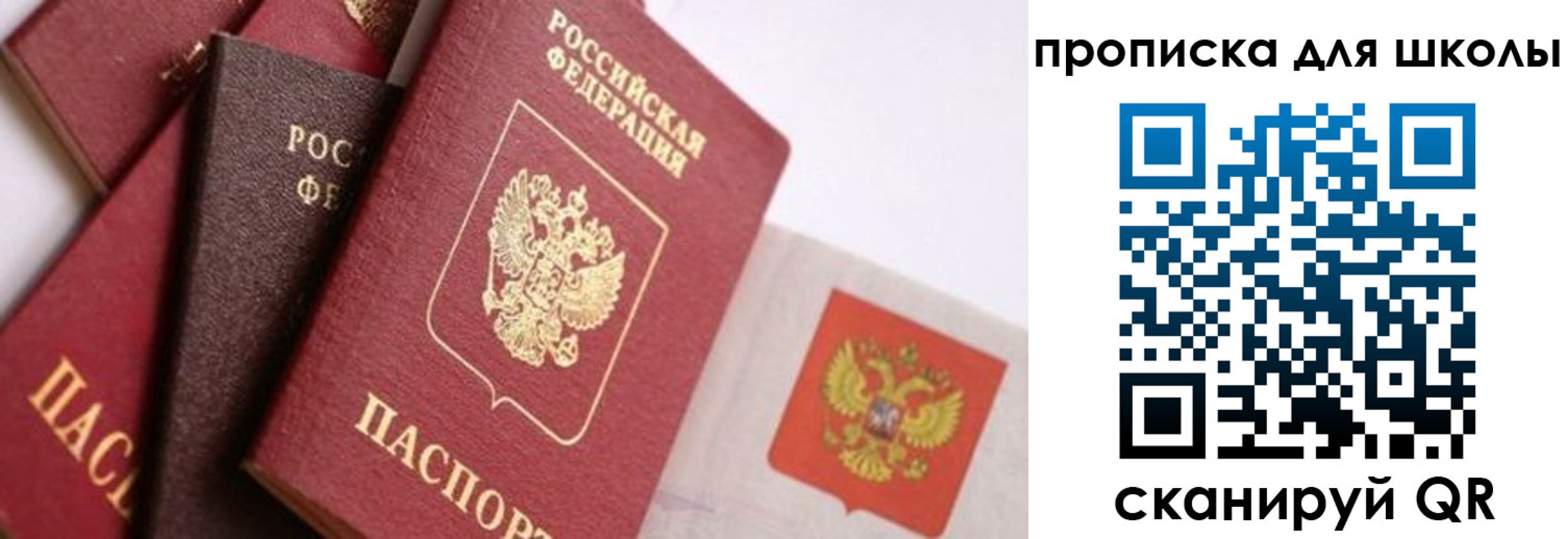 прописка поиск в Боре
